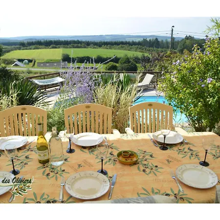 Des Oliviers * Bouillon