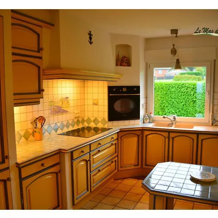 Des Oliviers Bouillon